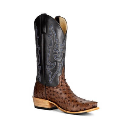 Full quill deals ostrich